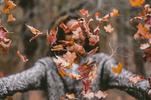 идеи за есенни снимки за инстаграм - момиче хвърля листа в гората