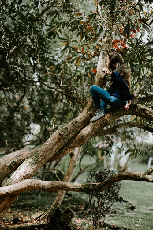 идеи за есенни снимки за инстаграм - момиче на дърво