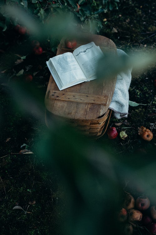 Есенни идеи за снимки за Instagram - книга за пикник